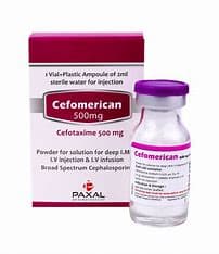 CEFOMERICAN 500MG VIAL