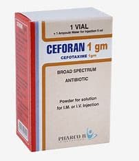 CEFORAN 1 GM VIAL
