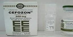 CEFOZON 500 MG VIAL