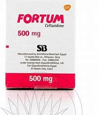 FORTUM 500 MG VIAL