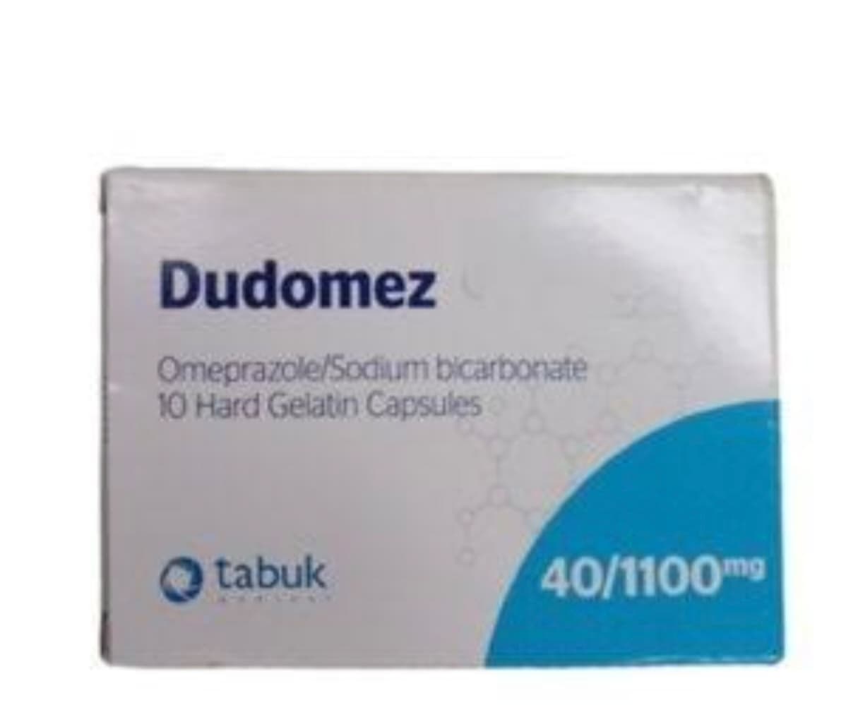 Dudomez40/1100