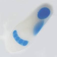 Silicone Flatfoot Brushes L