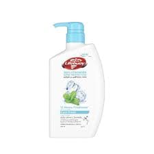 Lifeboy Body Lotion 500ml Integrated Care