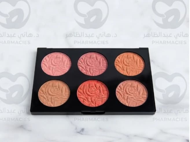 Gigi Beauty 6-Color Blush