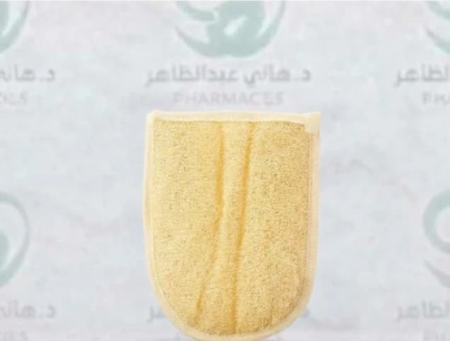 loofah Lux style shower mitt